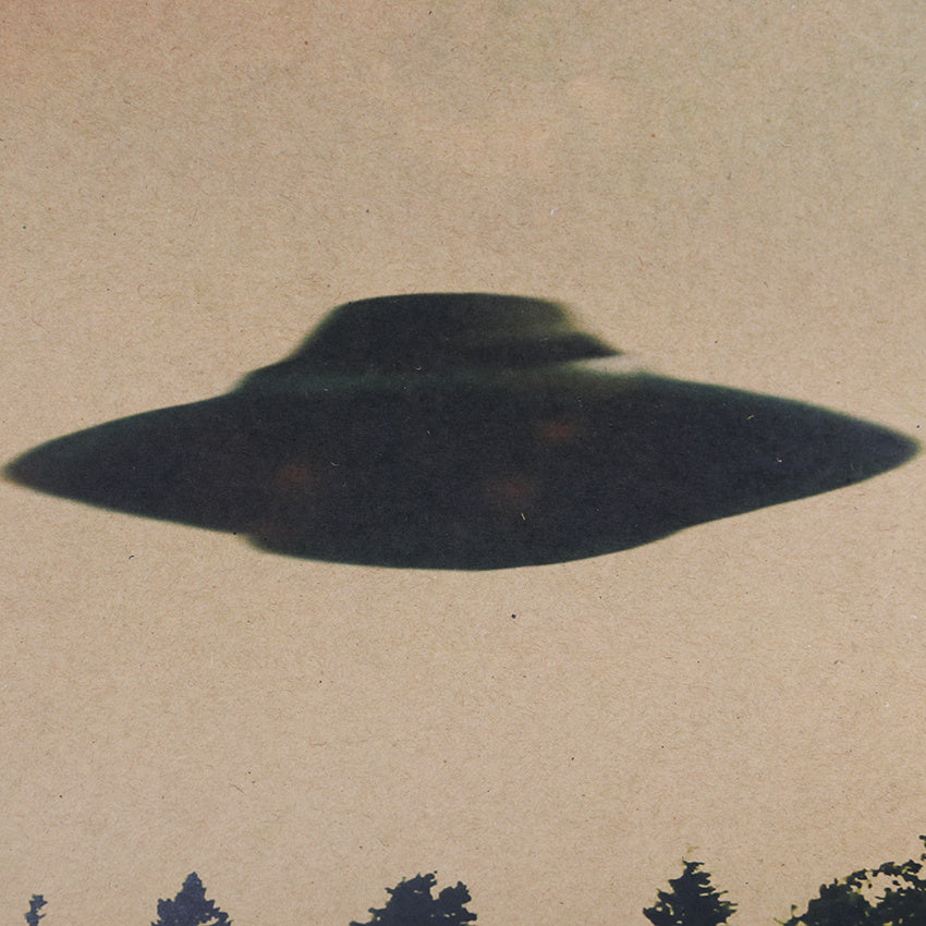 “I Want to Believe” UFO Kraft Poster – Classic Forest Scene