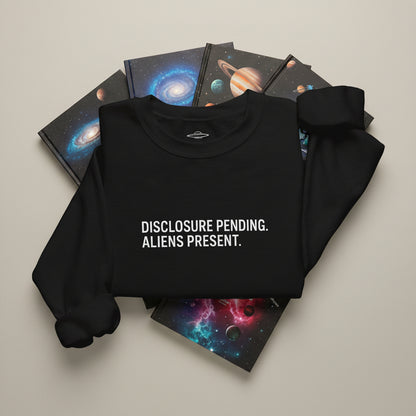 Disclosure: Pending. Aliens: Present. Embroidered Crewneck Sweatshirt