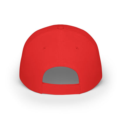 Make Humans a Cosmic Species | Embroidered Hat
