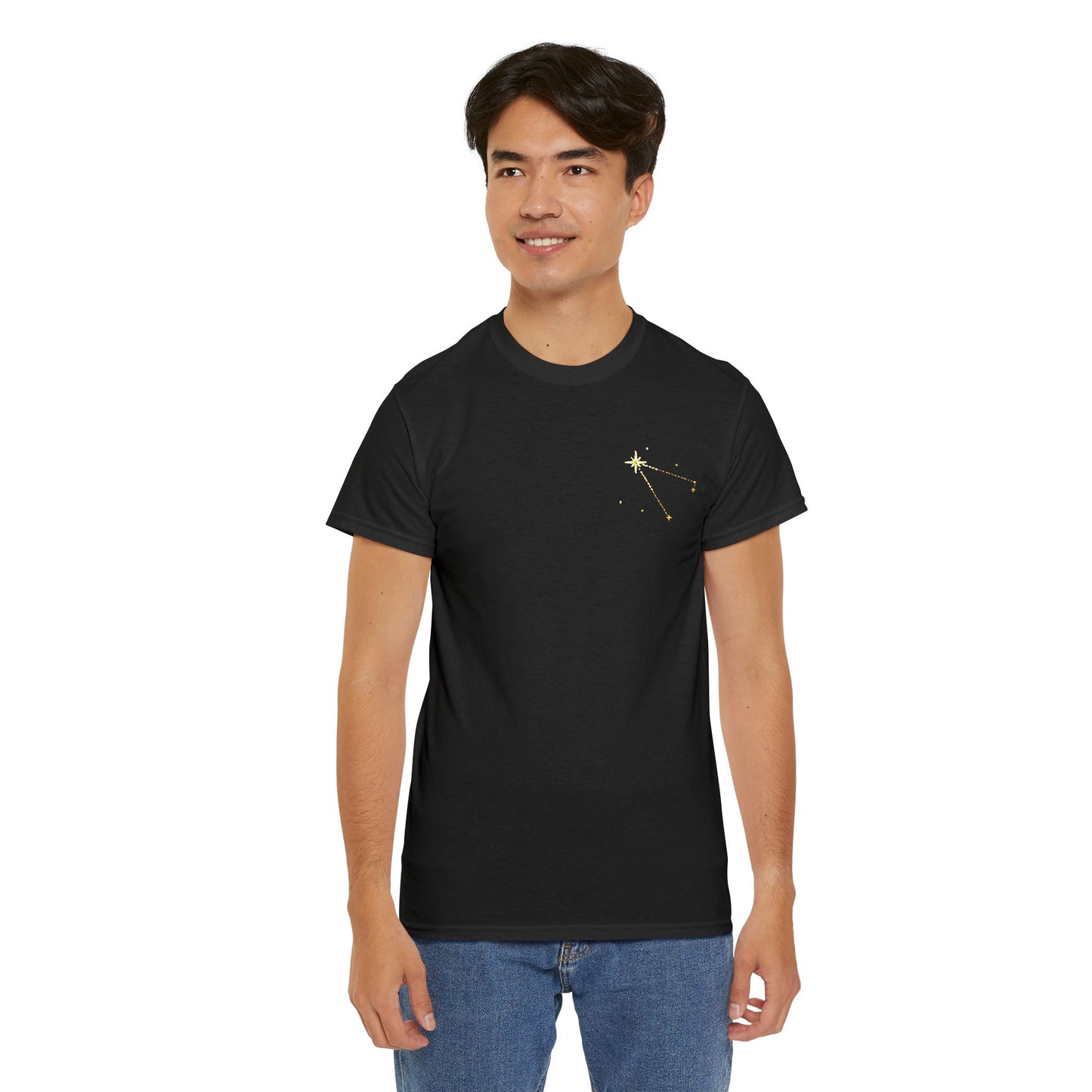 Sirius Star Map Embroidered T-Shirt