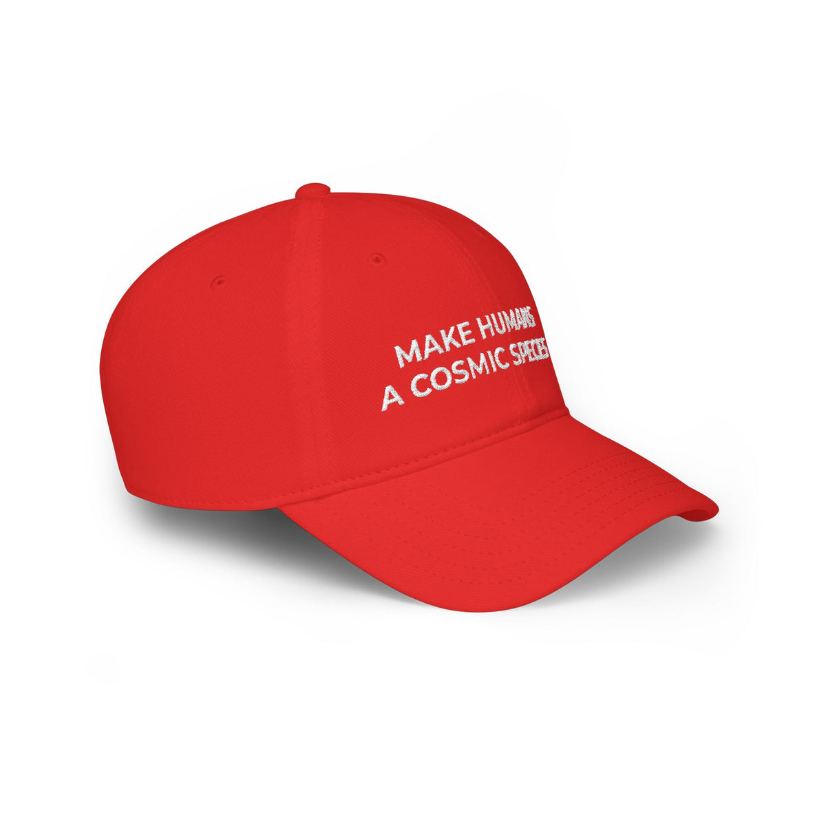 Make Humans a Cosmic Species | Embroidered Hat