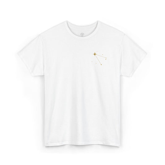 Sirius Star Map Embroidered T-Shirt