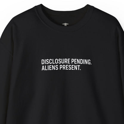 Disclosure: Pending. Aliens: Present. Embroidered Crewneck Sweatshirt