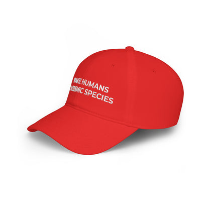 Make Humans a Cosmic Species | Embroidered Hat