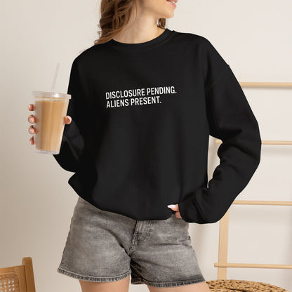 Disclosure: Pending. Aliens: Present. Embroidered Crewneck Sweatshirt